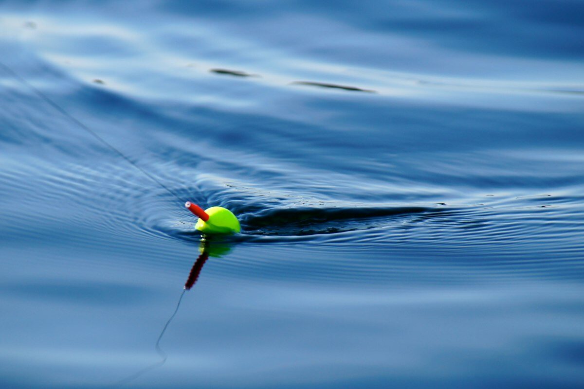 Isca Popper Marine Sports — imagem ilustrativa