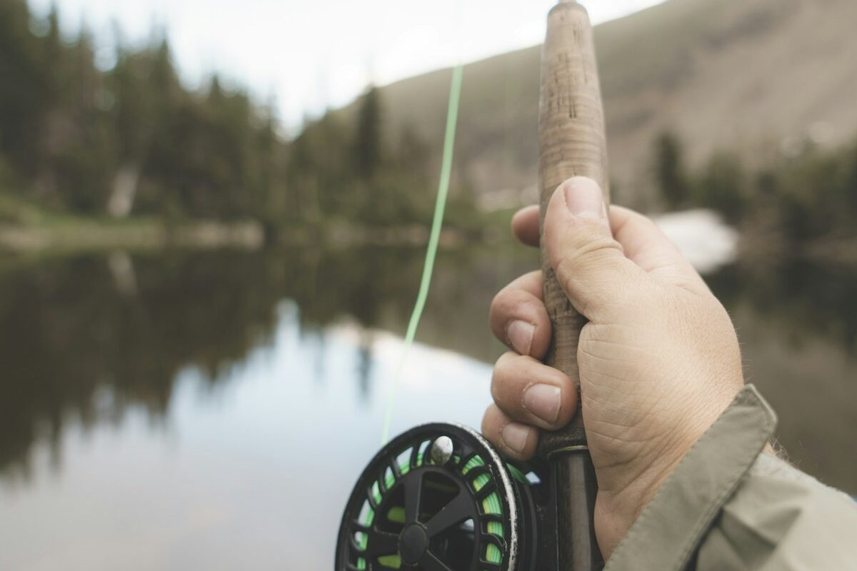 Molinete Shimano Sedona 2500 — imagem ilustrativa